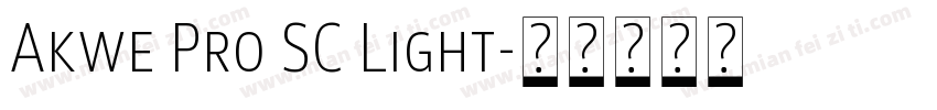 Akwe Pro SC Light字体转换